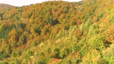 Slovenya 'nın uzak kesimlerinde bereketli düşen renkli ağaçlar manzarayı kaplıyor