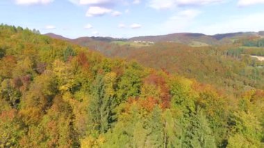 DRONE: Kranjska Gora 'daki muhteşem sonbahar renkli manzaranın manzarası.