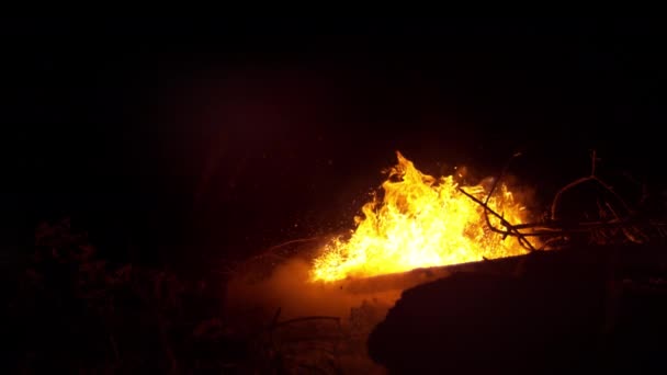 FECHAR UP: Fogo flamejante engole um monte de lenha seca perto de um parque de campismo tranquilo. — Vídeo de Stock