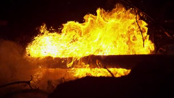 AFSLUITEN: Oranje vlammen branden door droge takken en twijgen in het pikdonker. — Stockvideo