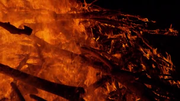 CLOSE UP: Gedetailleerde foto van een groot brandend kampvuur midden in de nacht. — Stockvideo