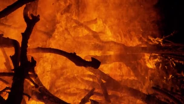 CLOSE UP: Fiery flames engulf a heap of dry branches and twigs in backyard. — Stock Video