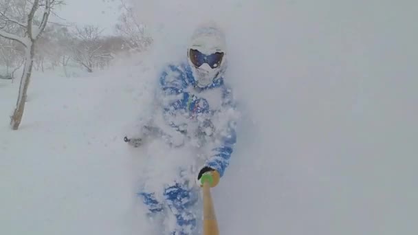 SLOW MOTION: Onherkenbare man skiën off-trail wordt bedekt met vers poeder. — Stockvideo
