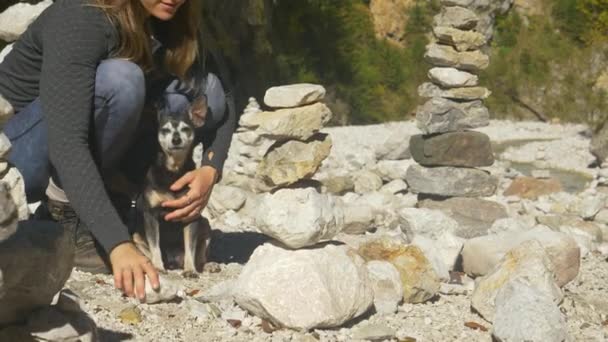 Yavru köpekle sakin dağlarda yürüyüş yapan kadın taş kuleler inşa ediyor. — Stok video