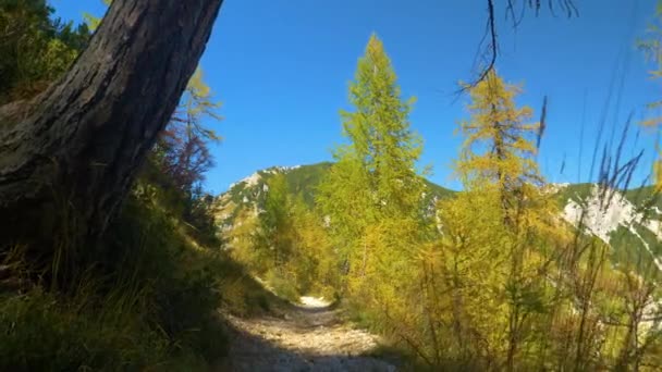 Trilha cênica oferece uma vista deslumbrante de uma montanha distante de outono colorido. — Vídeo de Stock