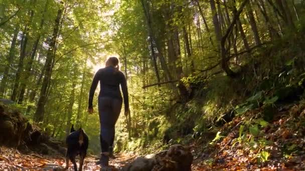 BAS ANGLE : Jeune femme et son petit chien descendent un beau sentier forestier. — Video