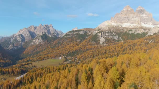 AERIAL: Flying over the colorful forests covering the valley under the Dolomites — 图库视频影像