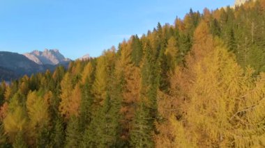 İtalyan Alpleriyle tepeleri kaplayan renkli ağaçların üzerinden uçuyor.