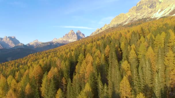 DRONE: Dech beroucí letecké snímky podzimních barevných lesů v italských horách — Stock video