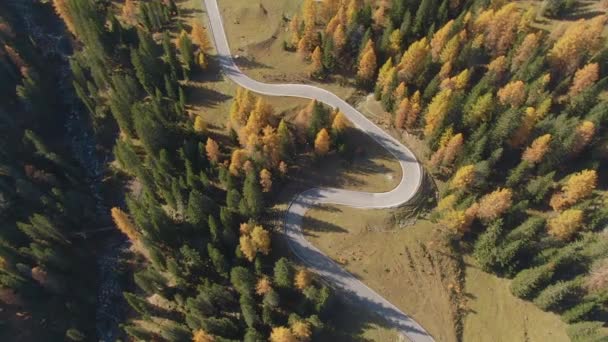 TOP DOWN: Flying above a winding road leading motorbike rider through forest — Stock Video