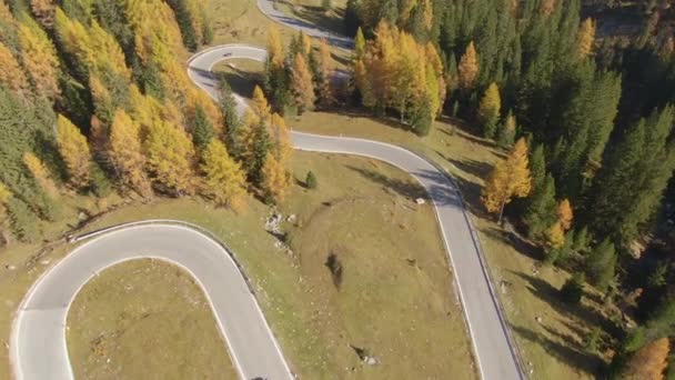 DRONE: il motociclista incontra un'auto mentre attraversa il Passo Giau in una giornata di sole autunnale — Video Stock