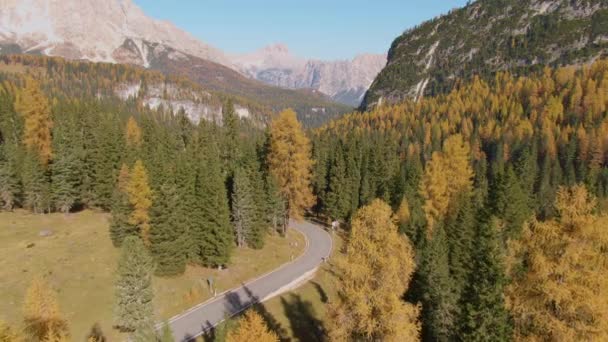 AERIAL: Scénický pohled na horský průsmyk silnice a nádherný les měnící barvy. — Stock video