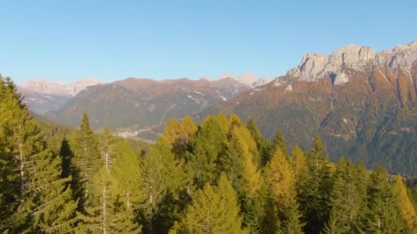 AERIAL: Létání nad barevnými lesy odhaluje malebné údolí v Dolomitách. — Stock video