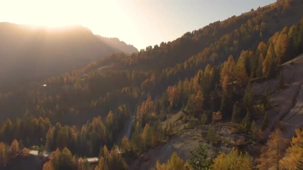 AERIAL：在一个阳光灿烂的秋夜飞越意大利阿尔卑斯山的五彩缤纷的树林. — 图库视频影像