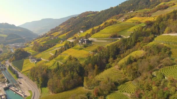 AERIAL: Fall solsken belyser den kuperade italienska landsbygden känd för vin — Stockvideo