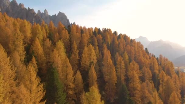 DRONE: Gouden herfstzon verlicht de kleurrijke Dolomieten in oktober — Stockvideo