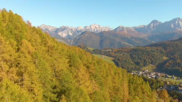 DRONE Flying over forest covered hill overlooking a small village in South Tyrol — Stock Video