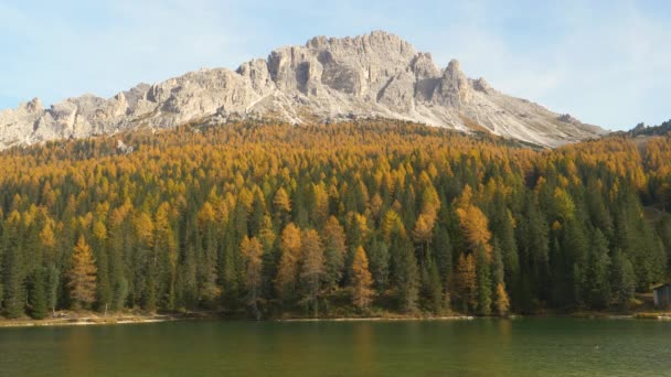 Vedere pitorească a unui munte care se înalță peste o pădure de culoare căzută și un lac calm — Videoclip de stoc