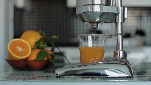 Kvinna händer pressa färsk apelsinjuice i en Juicepress — Stockvideo