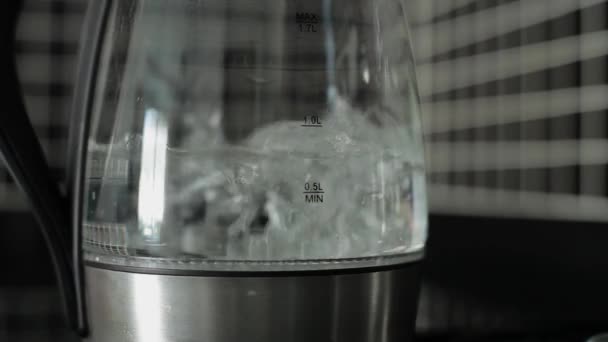 Електричний чайник з синім підсвічуванням кипить . — стокове відео