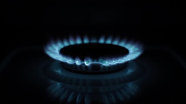 Gas cooker ring burning blue — Stock Video