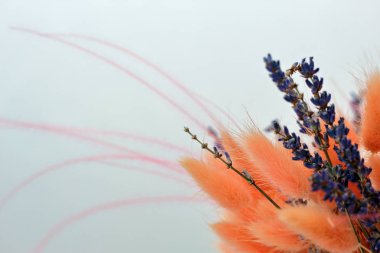 Bir buket güzel kurutulmuş çiçek. Anneler günü veya gree için hediye