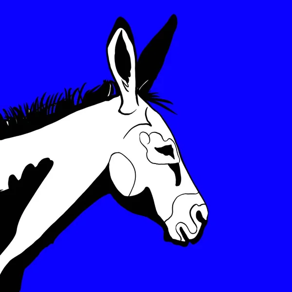 Drawn Donkey Blue Background Elections 2020 Democratic Party — Stock Photo, Image
