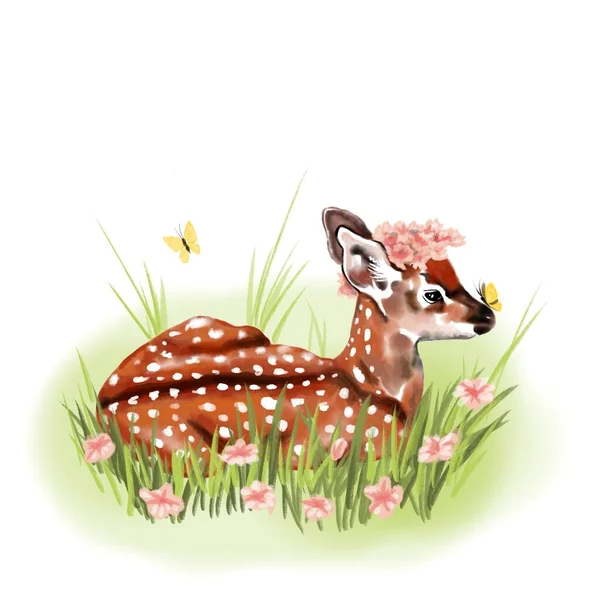 Isolated deer drawing on a white background: little baby deer laying on a green grass, decorated w/ pink flowers and butterflies. Isolated. Bembi watercolor.