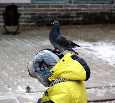 Güvercin bebek kafasının üstüne oturdu.