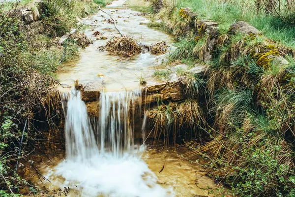 Silk effect water in a small mountain creek — Stock Image Silk effect water in a small mountain creek Stock Image