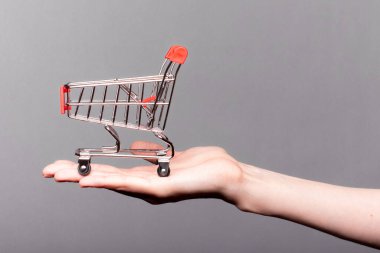 Elinde küçük bir süpermarket arabası