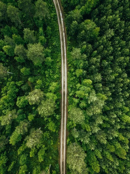 Vista Aérea Una Carretera Rural Través Bosque Abetos Verano Finlandia — Foto de Stock