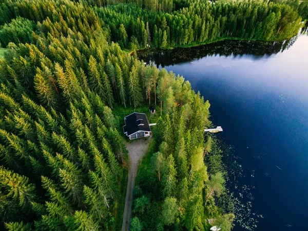 Vue Aérienne Chalet Bois Dans Forêt Pins Verts Bord Lac — Photo