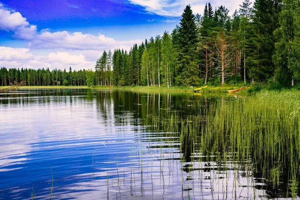 青い湖とフィンランドの日当たりの良い夏の日に緑の森の風景 — ストック写真