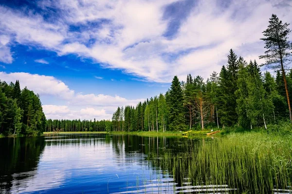 青い湖とフィンランドの日当たりの良い夏の日に緑の森の風景 — ストック写真