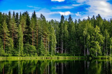 Yazlık veya günlük kabin kırsal Finlandiya mavi Gölü. Pastoral kırsal manzara görünümüyle mavi su ve yeşil orman. 
