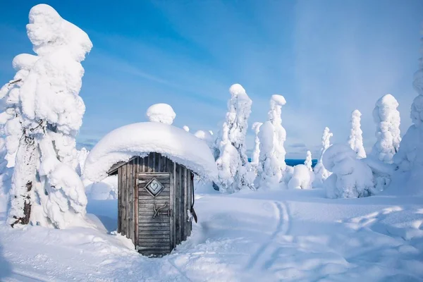 Old Rustic Wooden Hut Winter Snowy Forest Finland Lapland — Stock Photo, Image