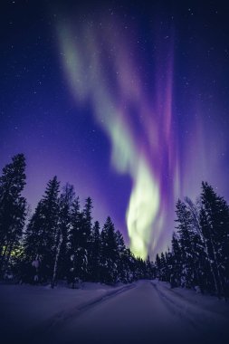 Güzel mor ve yeşil Kuzey ışıkları (Kutup ışıkları) kış Lapland manzara, Finlandiya, Scandinavia üzerinden gece gökyüzünde