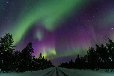 Güzel mor ve yeşil Kuzey ışıkları (Kutup ışıkları) kış Lapland manzara, Finlandiya, Scandinavia üzerinden gece gökyüzünde