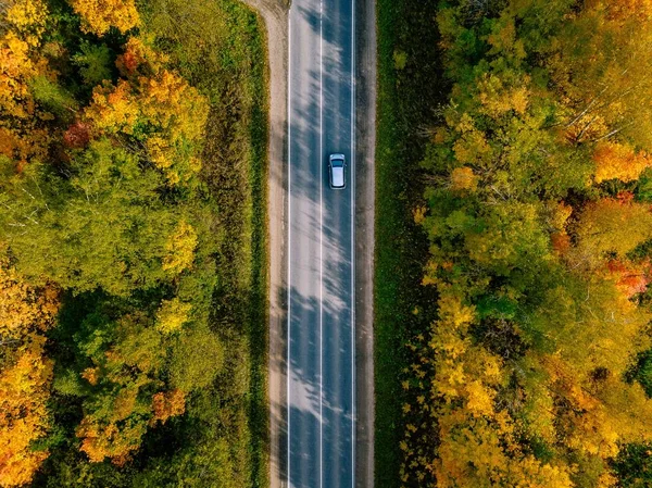 秋の森の中の道路の空中ビュー 田園道路 赤とオレンジの葉と美しい風景 ドローン写真 — ストック写真