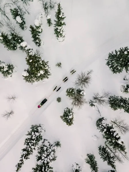 Vista Aérea Del Trineo Con Perros Husky Laponia Finlandia Fotografía —  Fotos de Stock