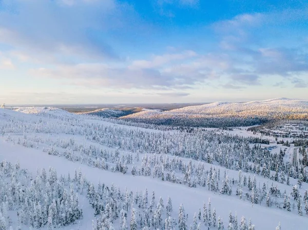 Flygfoto Över Vintern Skog Med Frostiga Träd Lantlig Väg Och — Stockfoto