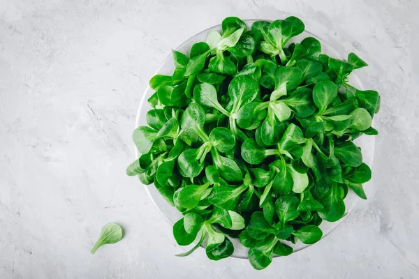 Folhas Salada Milho Verde Fresco Alface Cordeiro Tigela Vista Superior — Fotografia de Stock