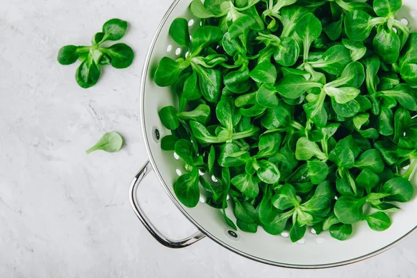 Frisse Groene Salade Van Corn Bladeren Veldsla Vergiet Bovenaanzicht — Stockfoto