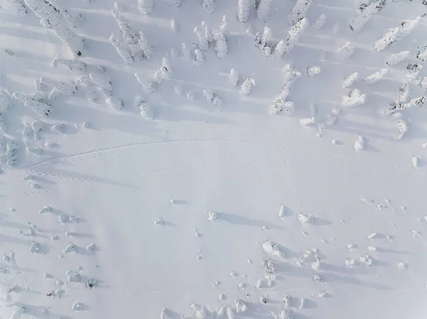 Luchtfoto Van Winter Bos Bedekt Met Sneeuw Finland Lapland Drone — Stockfoto