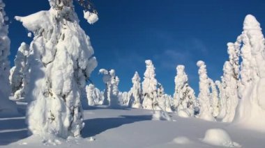 Kar ve mavi gökyüzü çok soğuk kış hava görünümünü. Finlandiya Lapland kış manzarası. 