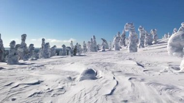 Kar ve mavi gökyüzü çok soğuk kış hava görünümünü. Kış manzara modunda Finlandiya Lapland, Riisitunturi Milli Parkı. 