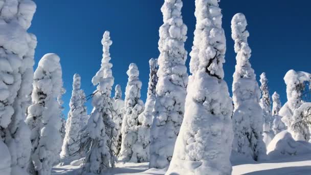 Kar Mavi Gökyüzü Çok Soğuk Kış Hava Görünümünü Finlandiya Lapland — Stok video