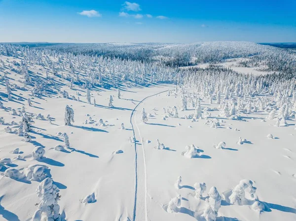 Flygfoto Över Vita Vintern Skog Med Snö Täckte Träden Och — Stockfoto