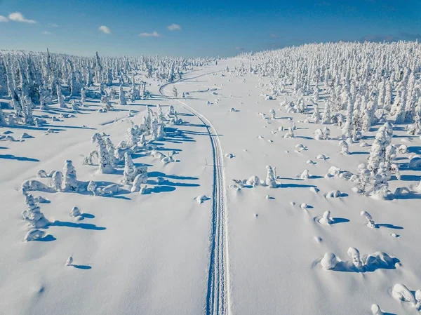 Vista Aérea Floresta Branca Inverno Com Árvores Cobertas Neve Estrada — Fotografia de Stock